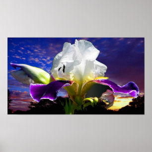 36" x 24", värderar (Matte) affischpapper, Poster