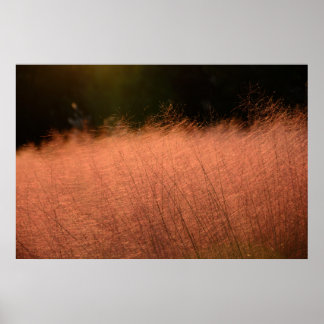 36x24 Rosa Muhly Jeju-do Sydkorea Foto Print Poster