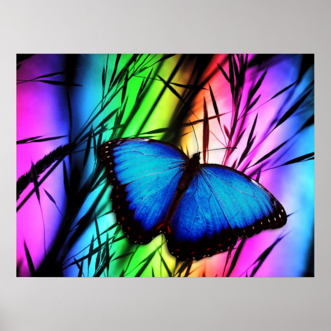 370729 RAINBOW DIGITAL BUTTERFLY REALISM BACKGROUN POSTER (Framsidan)