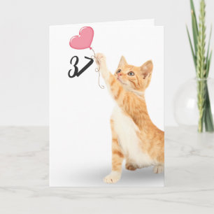 37-årsdagen tabby katt med hjärtballong kort