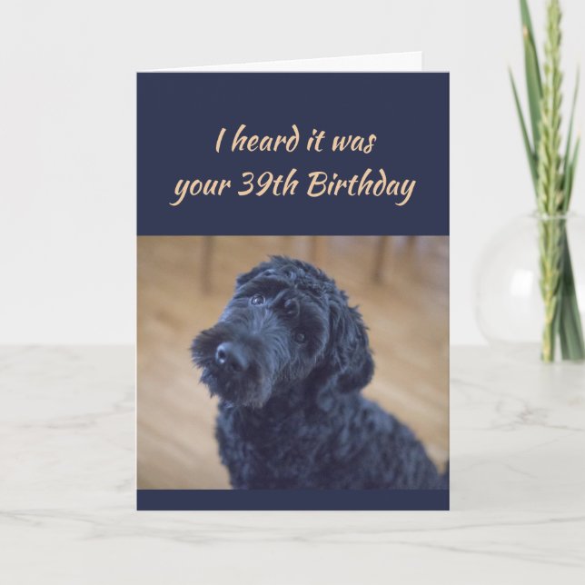 39:e födelsedag Roligt Cute Black Curly Hund Pet Kort (Framsida)
