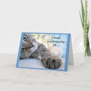39th födelsedag för roligt med djur humor för katt kort