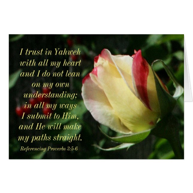 3:4 för uppmuntranScriptureProverbs - 6 Hälsningskort (Framsidan Horizontal)