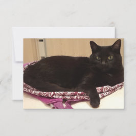 3,5-tums x 5-tums platt gratulationskort kort