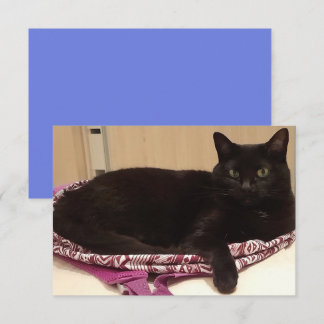 3,5-tums x 5-tums platt gratulationskort kort