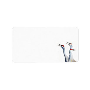 3 Adressetiketter för Photo Stationery i Sandhill 