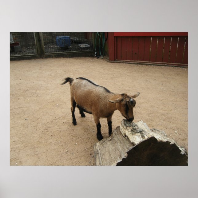 3 april (11) Canvas Poster (Framsidan)