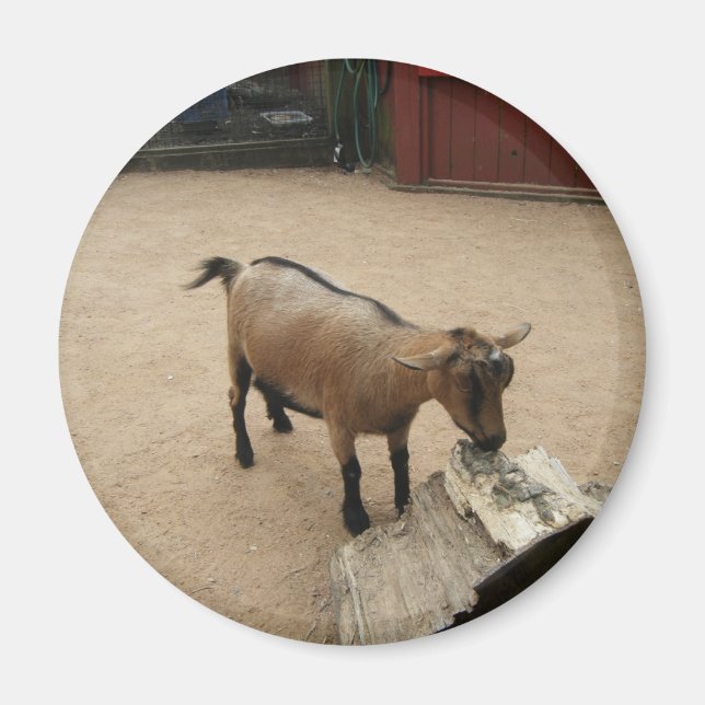 3 april (11) Magnet (Framsidan)