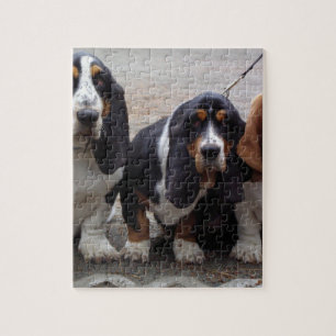 3 Basset hound valpar Pussel