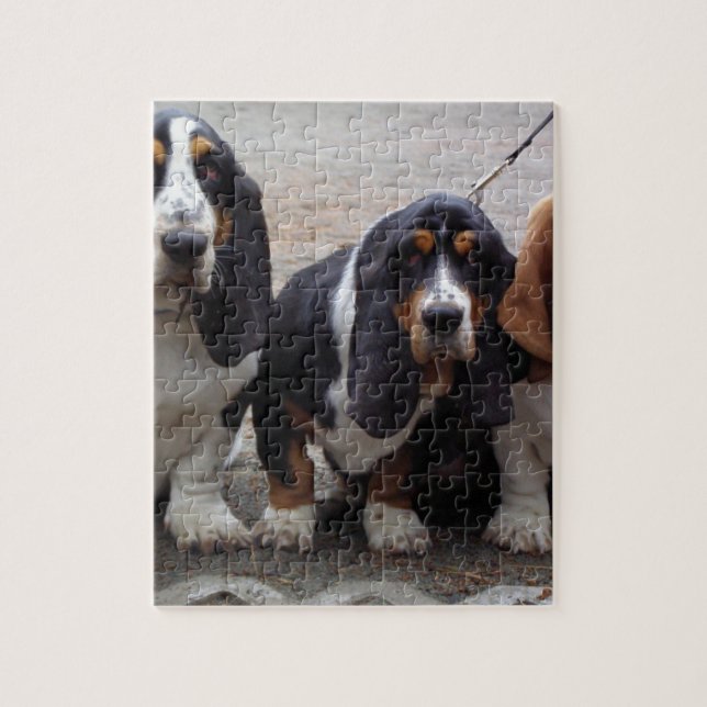 3 Basset hound valpar Pussel (Vertikal)