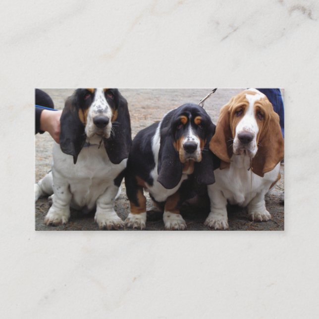 3 Basset_hound_valpar Visitkort (Framsida)