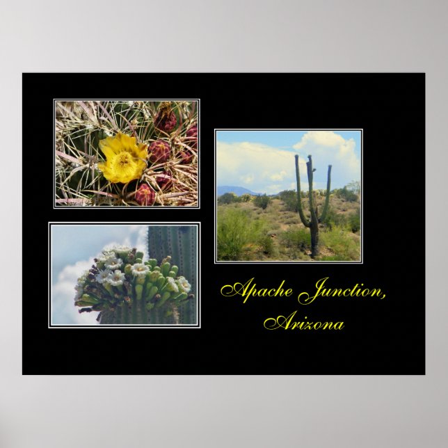 3 bilder från Apache Junction,Az tryck (Framsidan)