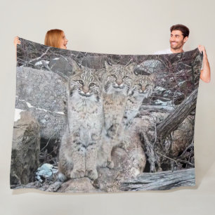 3 BOBCATS FLEECEFILT