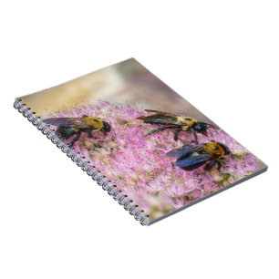 3 Bumblebin Anteckningsbok