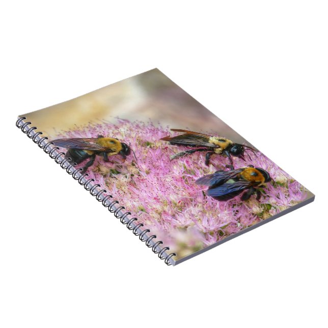 3 Bumblebin Anteckningsbok (Högra Sidan)