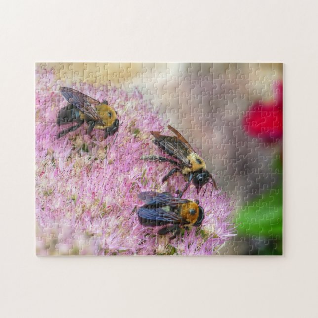 3 Bumblebin Pussel (Horisontell)