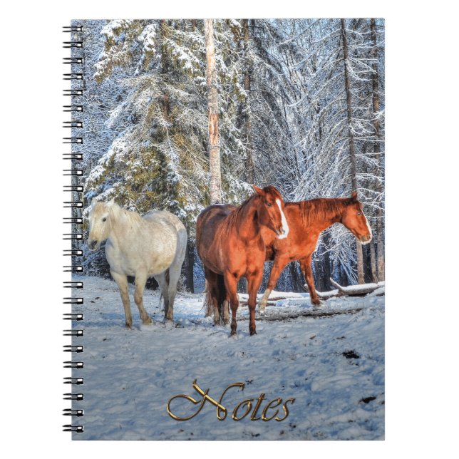 3 Chestnut, White & Dun Ranch Horses & Snö Forest Anteckningsbok Med Spiral (Framsidan)