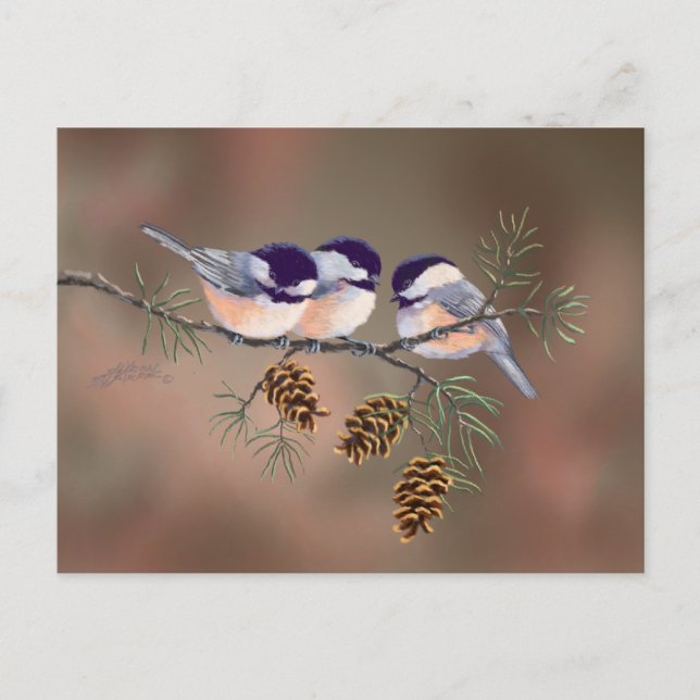 3 CHICKADEES & GRÄS CONESby SHARON SHARPE Vykort (Framsida)