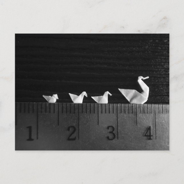 3 cm Simma i familjen Vykort (Framsida)