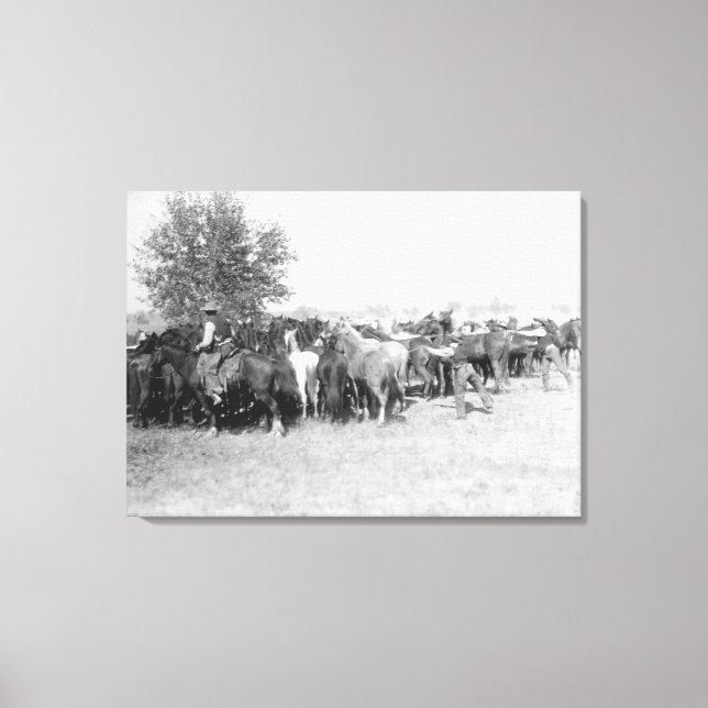 3 Cowboys Roping Horses Photograph South Dakota Canvastryck (Framsida)