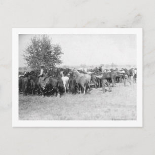 3 Cowboys Roping Horses Photograph South Dakota Vykort