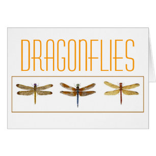 3 Dragonflies. OBS Kort