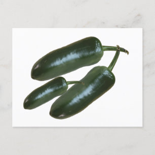 3 Färsk Grönt Jalapeno Peppers Photo still Life Vykort