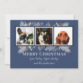 3 Fotobotaniska Blommigtens vattenfärg Julkort