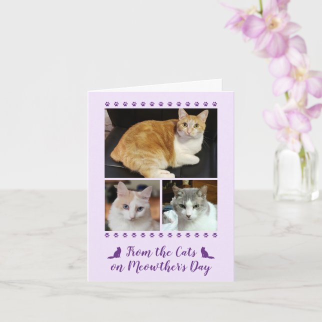 3 Fotoskript Cat Hund Pet Kids Mors dag Rosa Kort (Orkide)