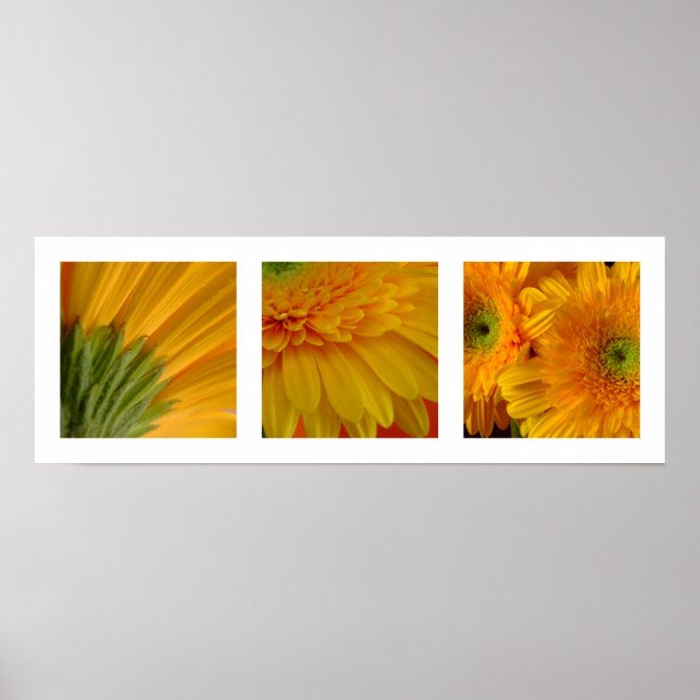 3 Gerberas Poster (Framsidan)