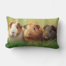 3 Guinea Grisar på gräs