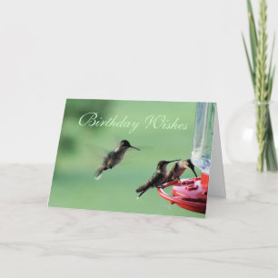 3 Hummingbird vid matarmatning, anpassa valfri til Kort