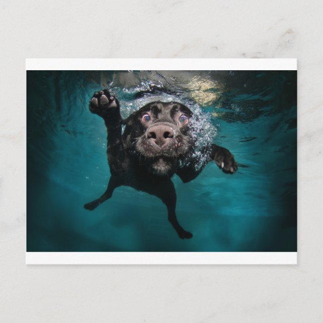 3.jpeg vykort (Framsida)