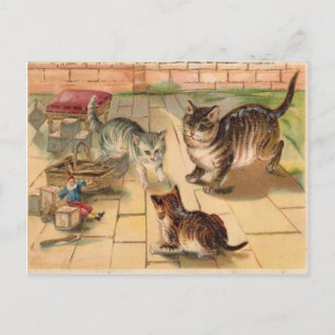 3 Katter som spelar med Leksak Vintage 1900:s vyko Vykort