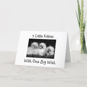 3 KATTUNGE MED EN STOR WISH-LYCKLIG 1:a BIRTHDAG Kort