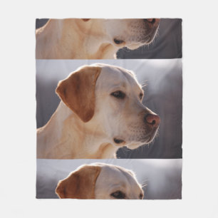 3 Labrador_Retriever Fleecefilt
