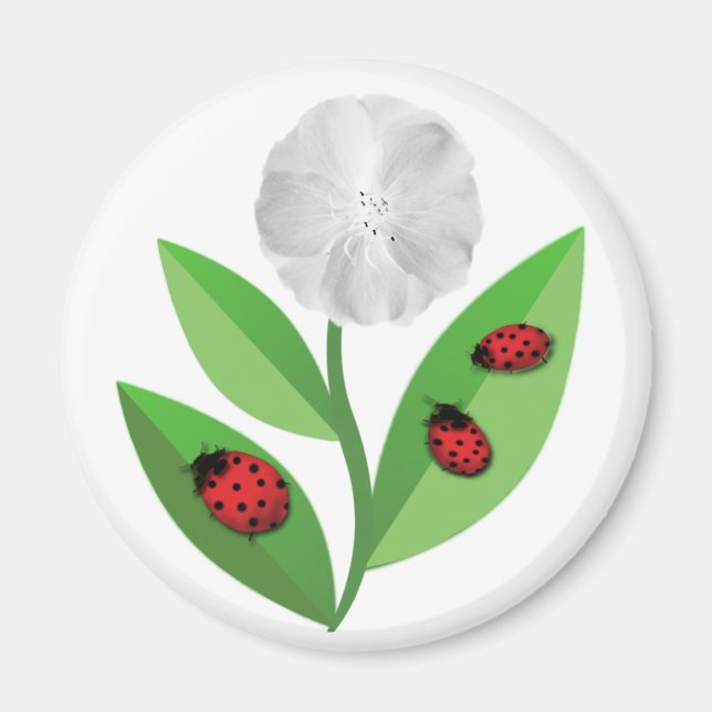 3 Ladybugs Magnet (Framsidan)