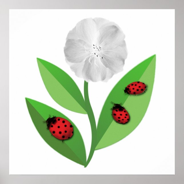 3 Ladybugs Poster (Framsidan)