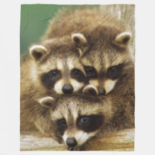 3 LITE RACCOONS FLEECEFILT