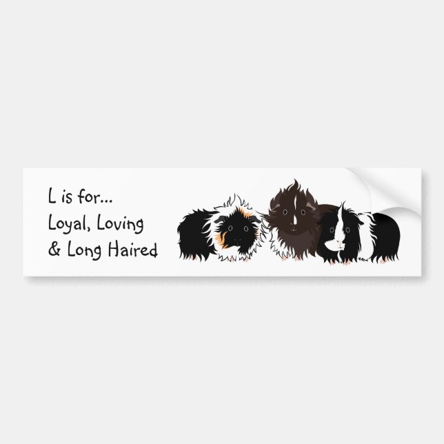 3 long haired piggies bumper sticker bildekal (Framsidan)