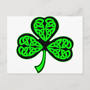 3 Löv Celtic Shamrock Vykort