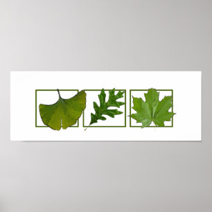 3 löv poster
