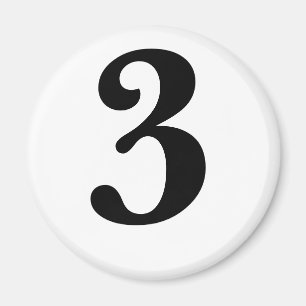 3 MAGNET