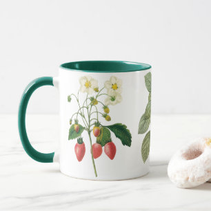 3 Olika Vintagar botaniska frukter av Redoute Mugg