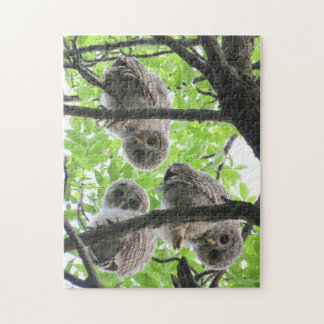 3 Owlets Jigszle Puzzle Pussel