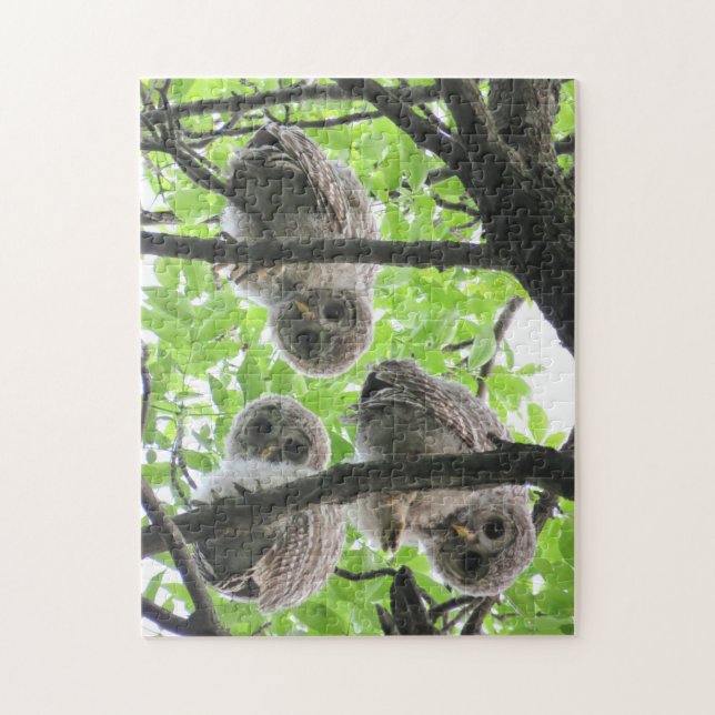 3 Owlets Jigszle Puzzle Pussel (Vertikal)