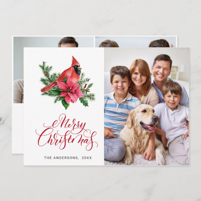 3 PHOTO Poinsettia Red Kardinal jul Hälsning Julkort (Fram/baksida)