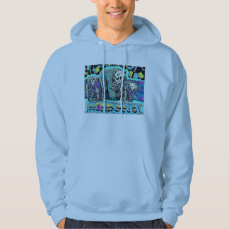 3 polara björnar sweatshirt