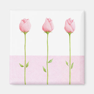 3 Rosa Rosenknopp Magnet