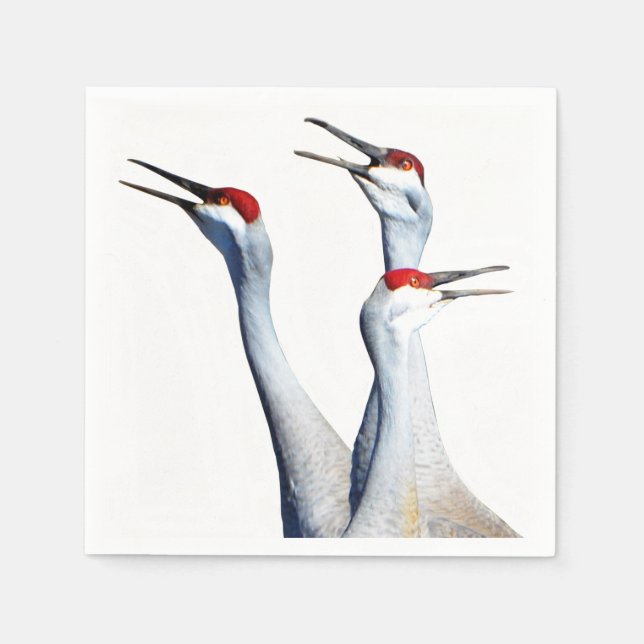 3 Sandhill Cranes Photo Pappra Napkins Pappersservett (Framsidan)